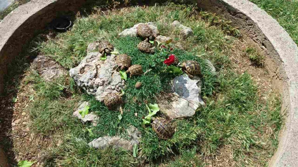 Agrotourism Galic Krka 호텔 Drinovci 외부 사진